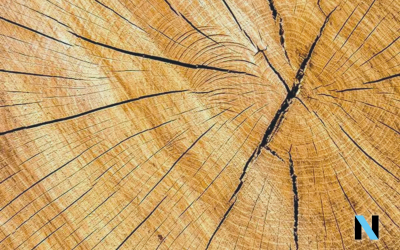 3 consejos para evitar las grietas en el lacado de madera
